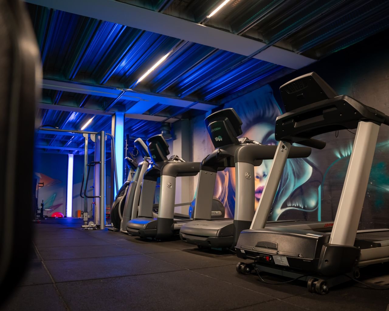 Home Row Of Treadmills In Gym 20418606